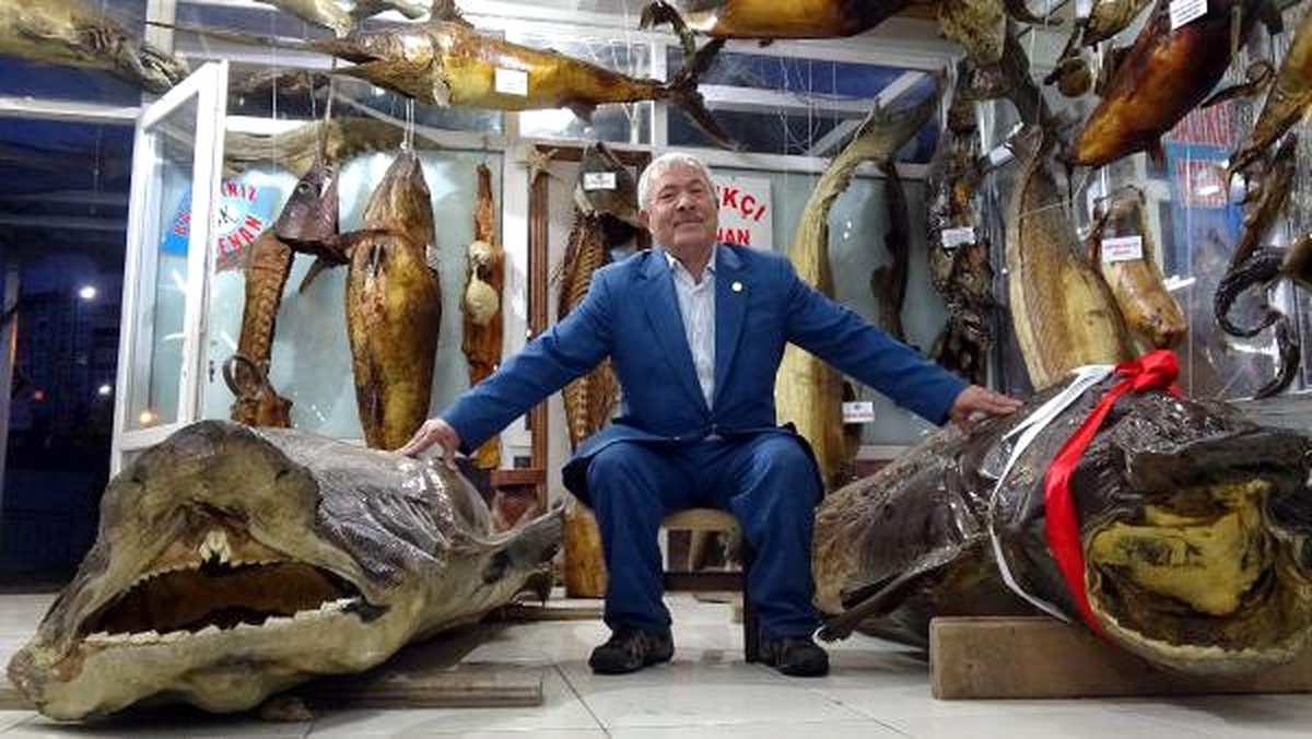 Dha İstanbul- 30 Yıllık Tutkuyla 9 Yılda Bin 500 Çeşit Balıklı Müze Oluşturdu
