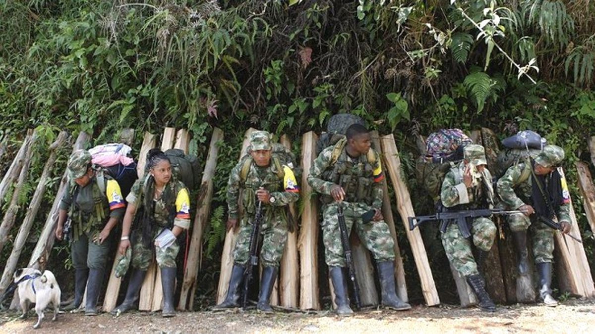 Farc Silahlara Veda Ediyor