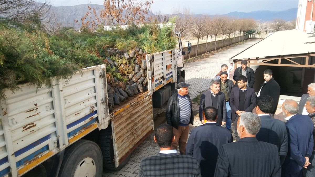 Kale\'de Fidan Dağıtımı