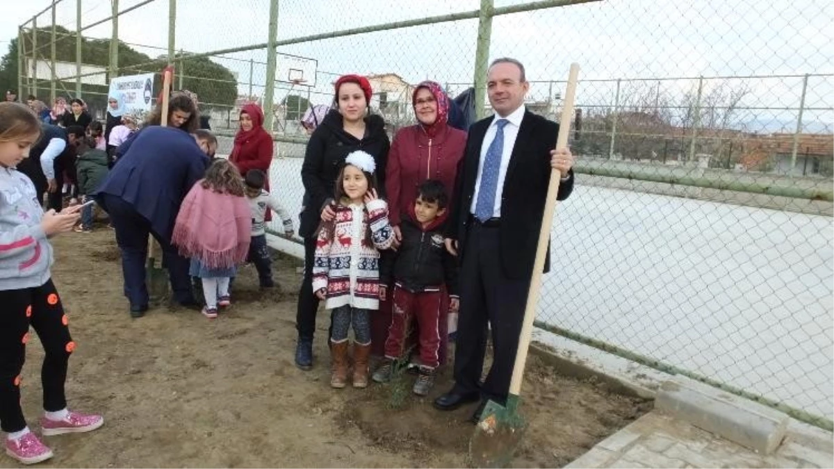 Burhaniyeli Öğrencilerin Dikili Ağacı Oldu