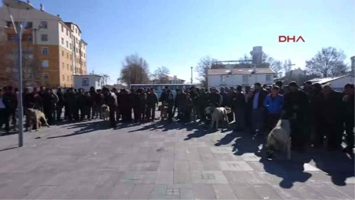 Konya Hollanda\'ya Köpekli Protesto