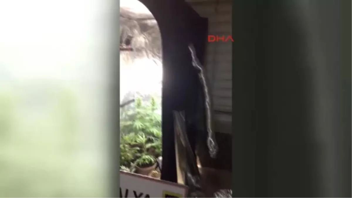 Manavgat\'ta Uyuşturucu Operasyonu