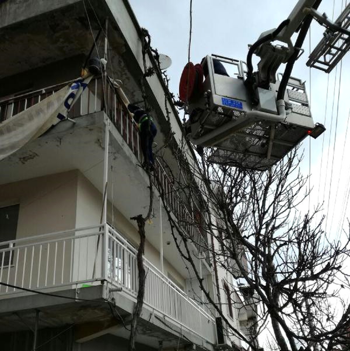 Balkonda Mahsur Kalan Kedi İçin Seferberlik