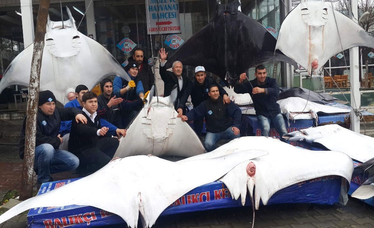 Bilim Dünyası Ayağa Kalktı