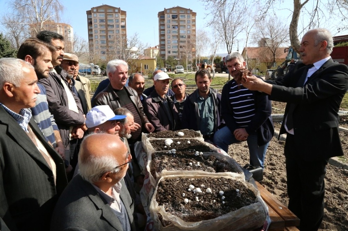 Melikgazi\'de Kültür Mantarı Yetiştiriciliği Kursları Başladı