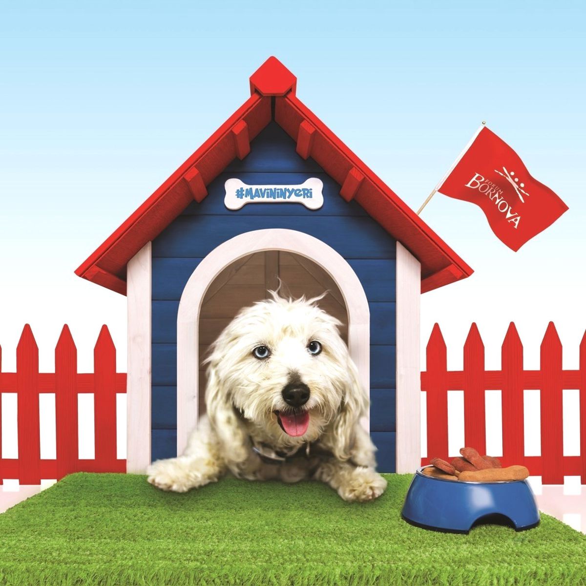 O Alışveriş Merkezinde Köpeklere Özel Alan