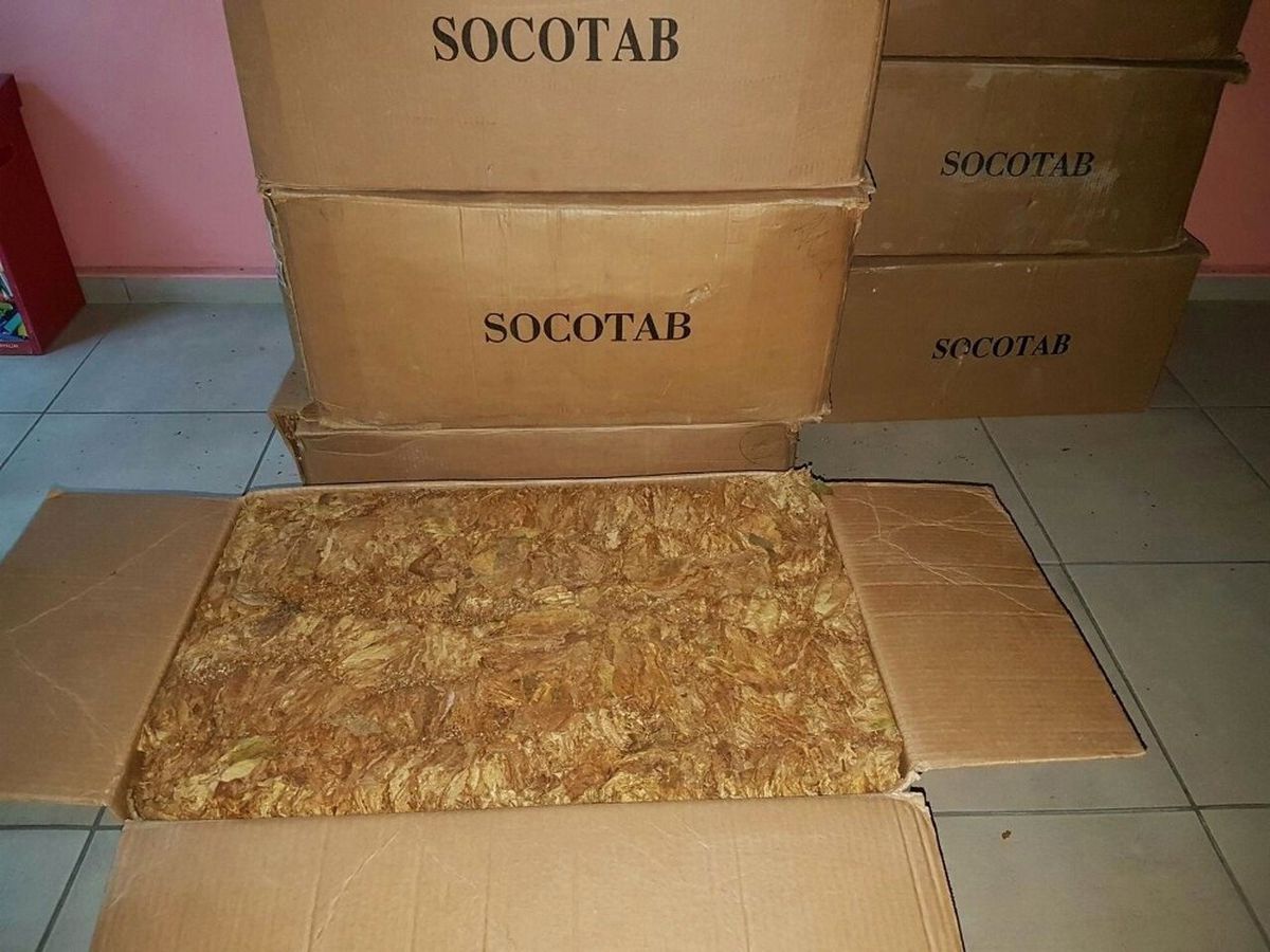 Sivas\'ta 200 Kilo Kaçak Tütün Ele Geçirildi