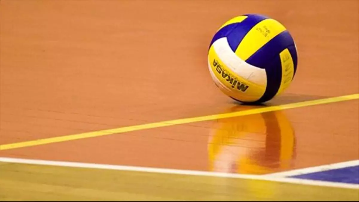 Voleybol: Efeler Ligi