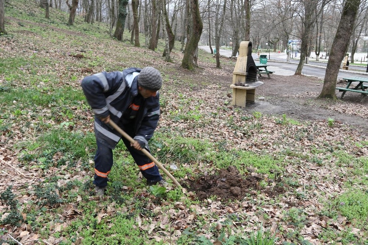 Akyazı Orman Park Meyve Ağaçları ile Donatıldı