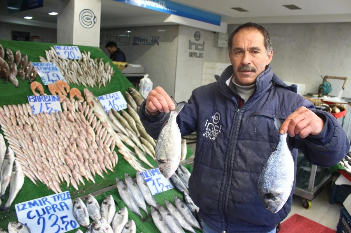 Balıkçı Kutay Yılmaz: "Hamsi Az Çıkınca, İşlerimiz Azaldı"