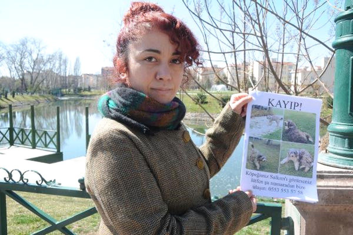 Duygu Öğretmen 1.5 Yıldır Kayıp Köpeğini Arıyor