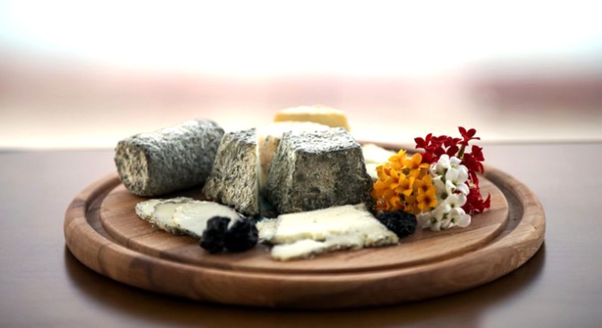 Fransa\'da Gördü, Türkiye\'ye Tesis Kurdu