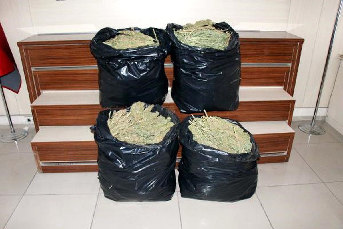 Gaziantep\'te 50 Kilo Esrar Ele Geçti