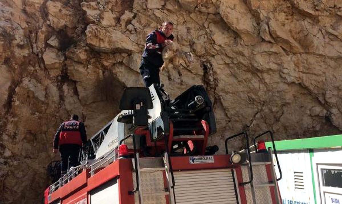 Mahsur Kalan Keçiyi İtfaiye Kurtardı