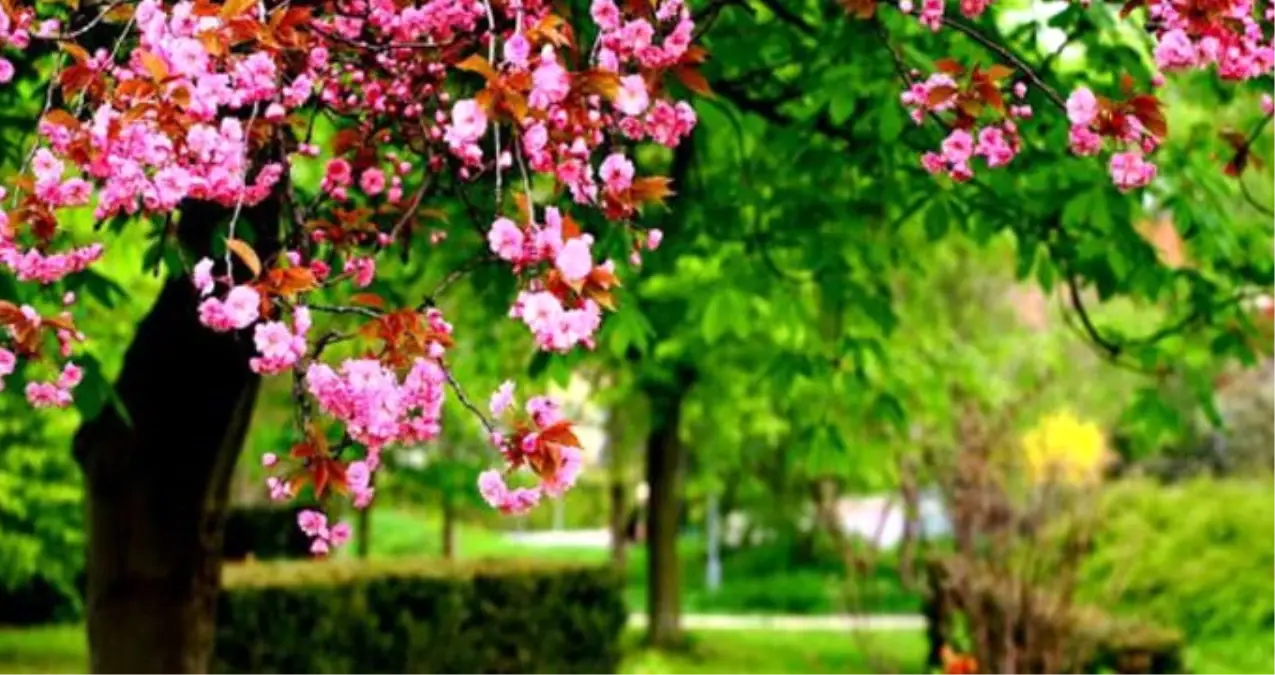 Nevruz Ne Demek, Nevruz Neden 21 Mart\'ta Kutlanır?