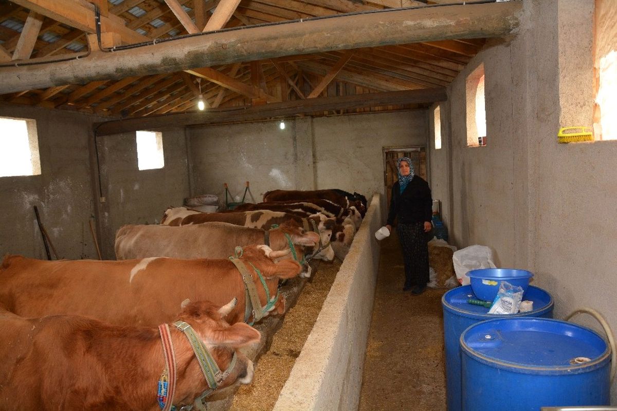 Ordu\'da 216 Genç Çiftçi