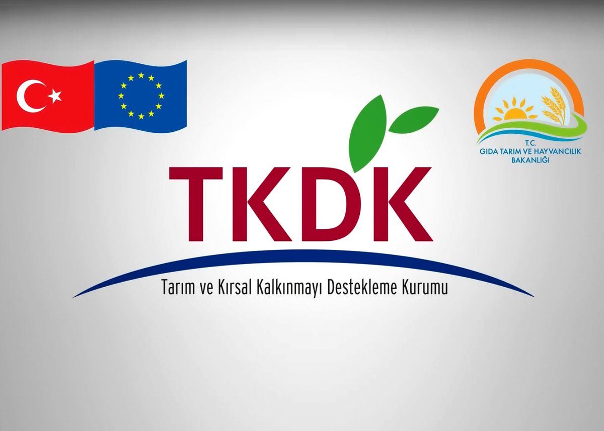Tkdk Giresun\'da Proje Hazırlama Eğitimi Verecek