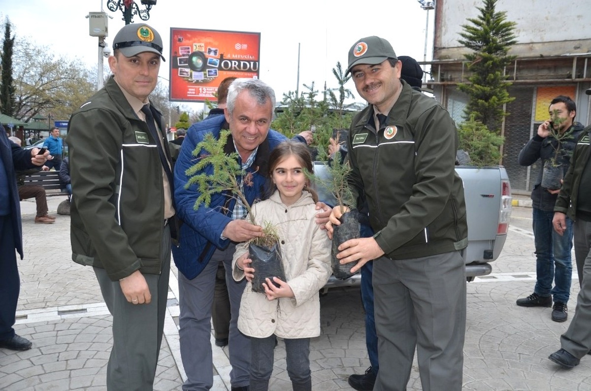 500 Çam ve Mavi Ladin Fidanı 15 Dakika İçinde Tükendi