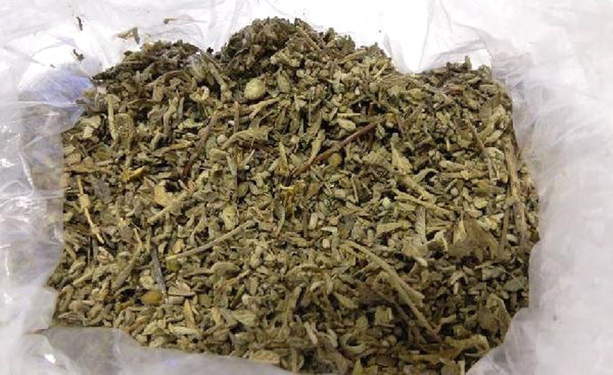 Amasya\'da Bonzai Operasyonu: 2 Gözaltı