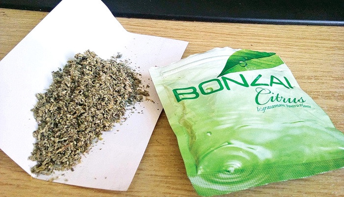 Bonzai İçip Araçlarında Uyuyakaldılar