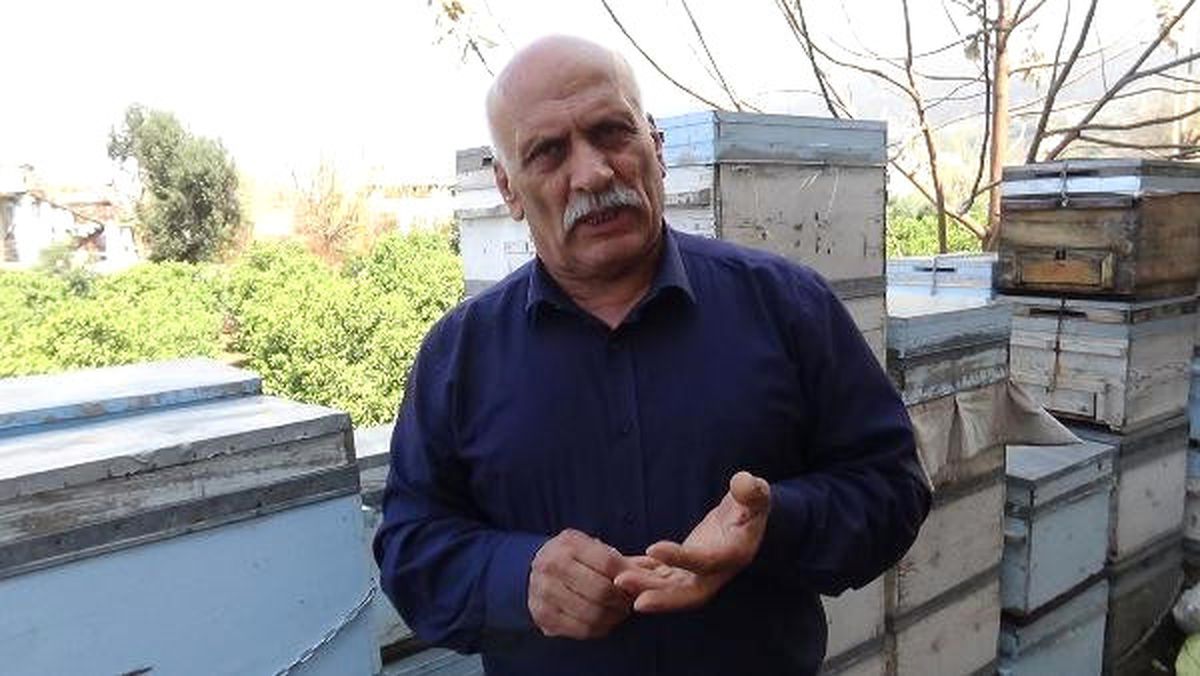 Çukurova\'da Arı Ölümlerinin Nedeni Tarım İlacı