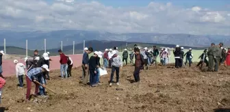 Dünya Ormancılık Günü ve Orman Haftası