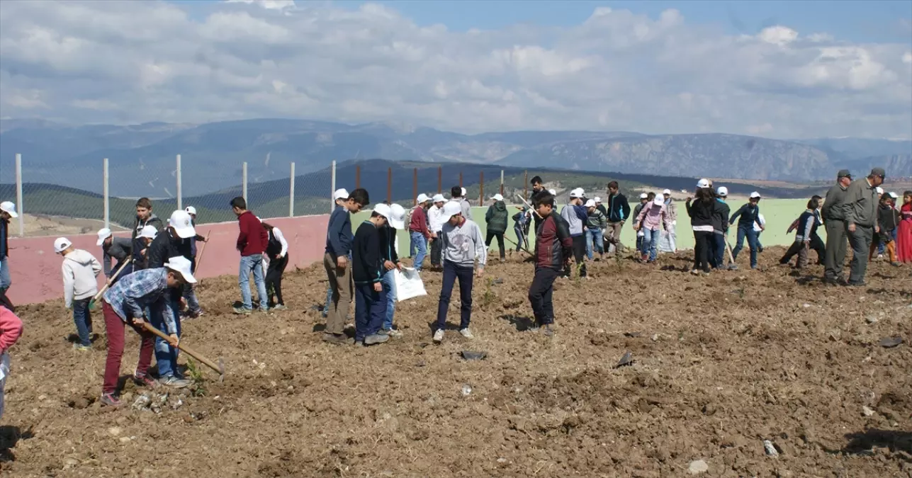 Dünya Ormancılık Günü ve Orman Haftası