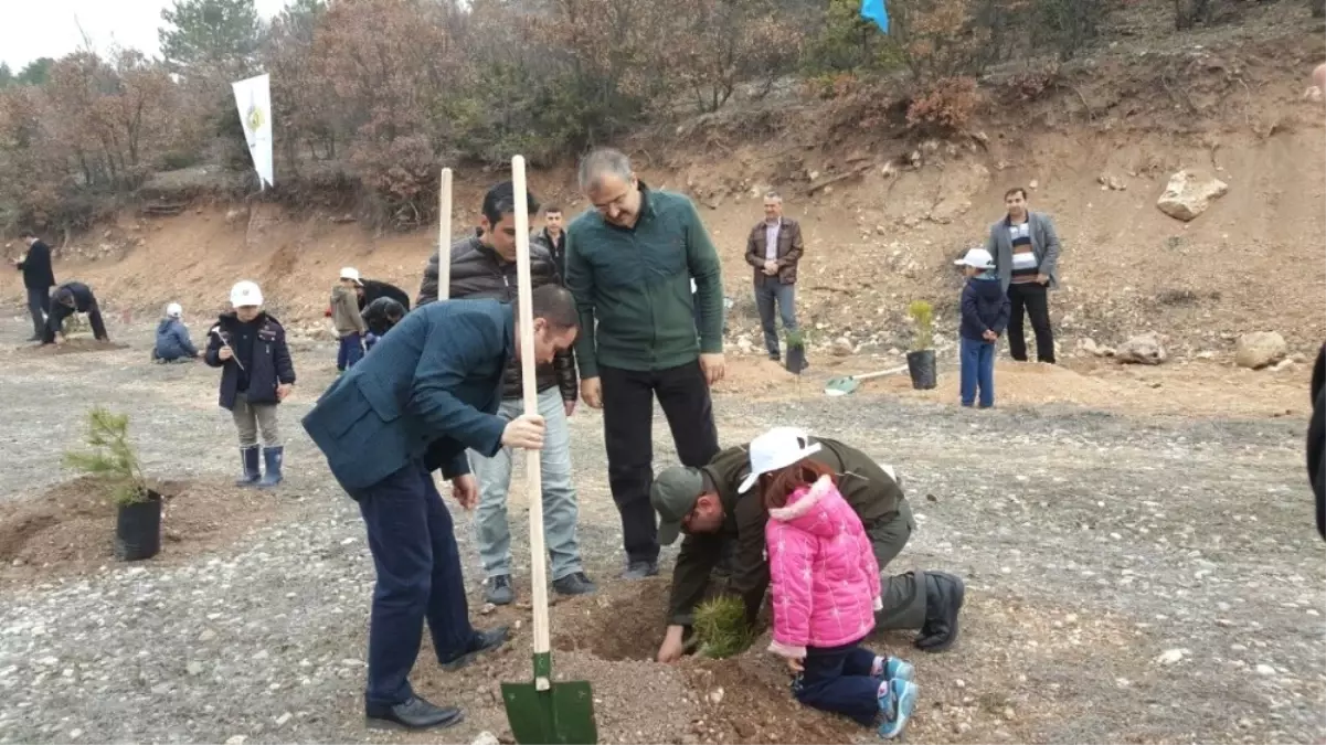 Emet, Hisarcık ve Çavdarhisar\'da 12 Bin 817 Fidan Toprakla Buluştu