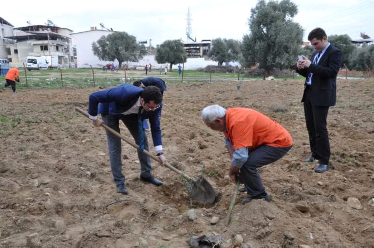 Hükümlüler, Hakim ve Savcılarla Fidan Dikti