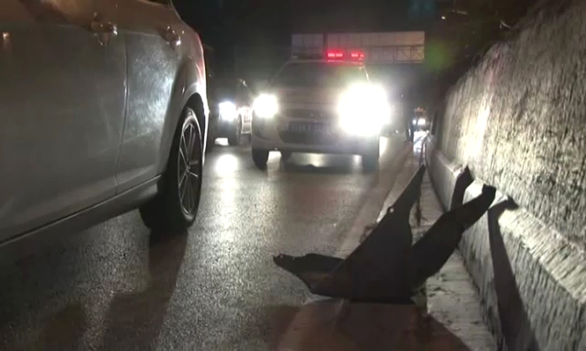 Karşıdan Karşıya Geçerken Canından Oldu
