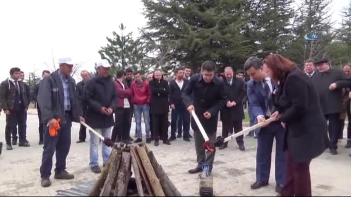 Nevruz Ateşi Yakıldı, Fidanlar Toprakla Buluşturuldu