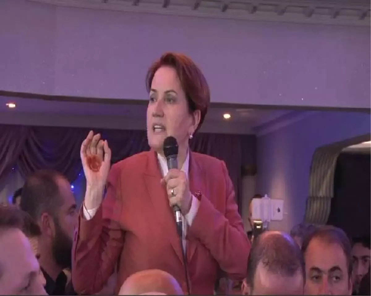 Akşener: Dış Politika Devlet Adamlığı ve Ciddiyet İster