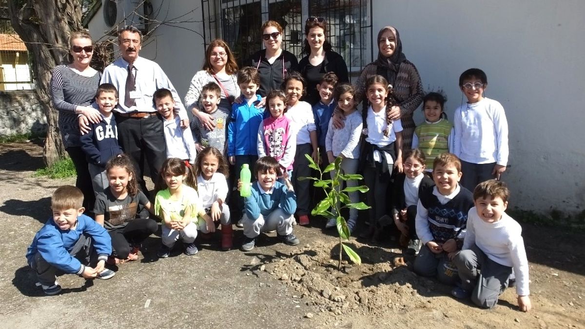 Burhaniye\'de Minikler Velileriyle Birlikte Ağaç Dikti