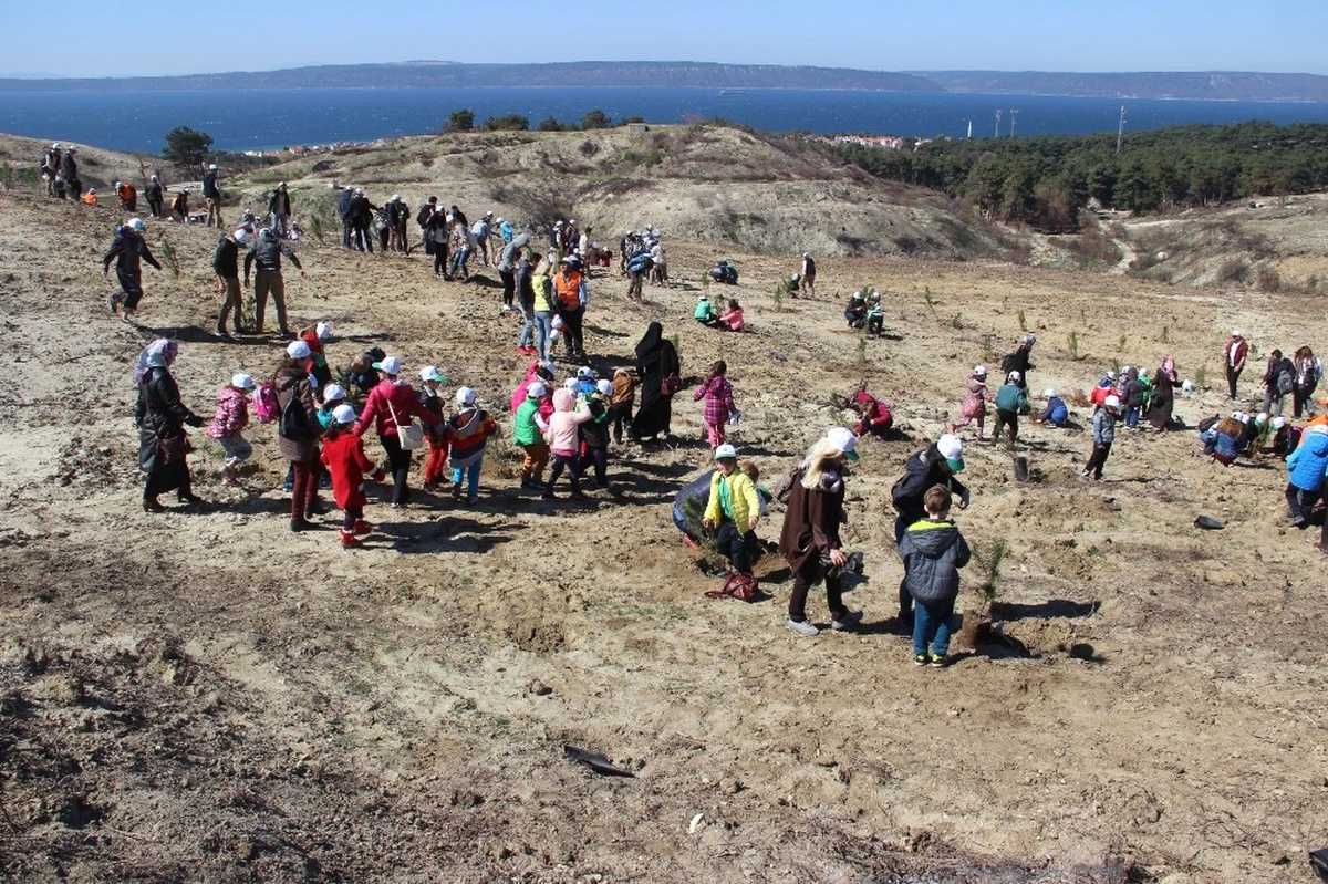 Çanakkale\'de "15 Temmuz Demokrasi Şehitleri Hatıra Ormanı" Oluşturuldu
