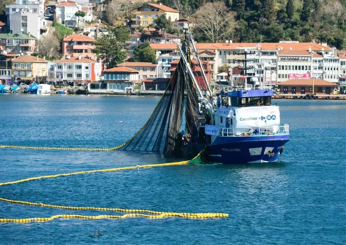 Carrefoursa Balıkta Cirosunu 4 Katına Çıkarmayı Hedefliyor