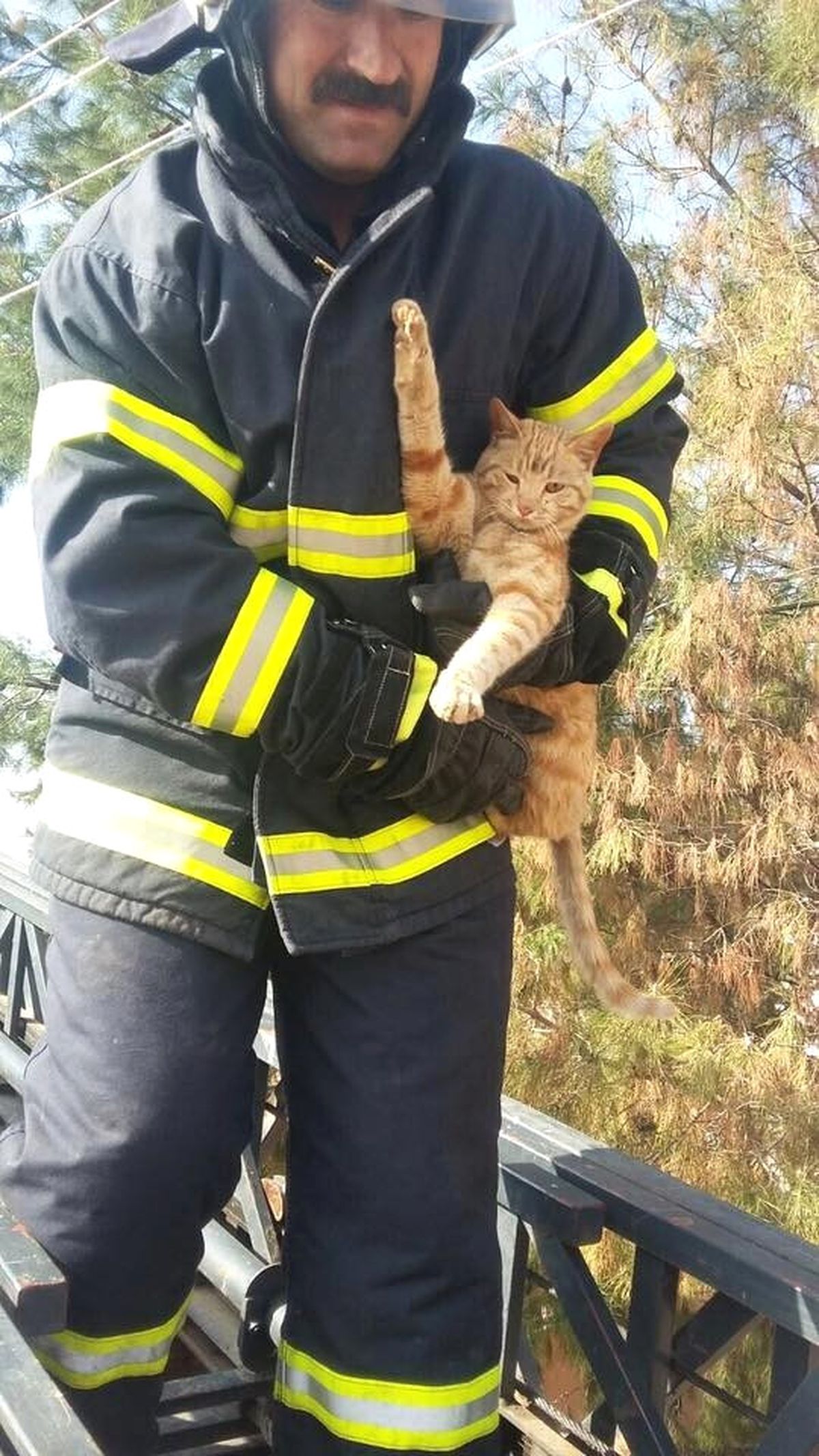 Çatıda Mahsur Kalan Kedi Kurtarıldı