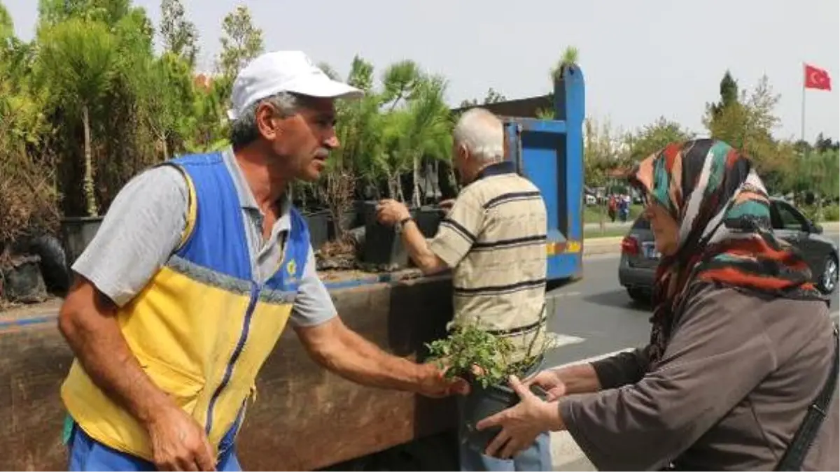 Dünya Ormancılık Günü ve Orman Haftası