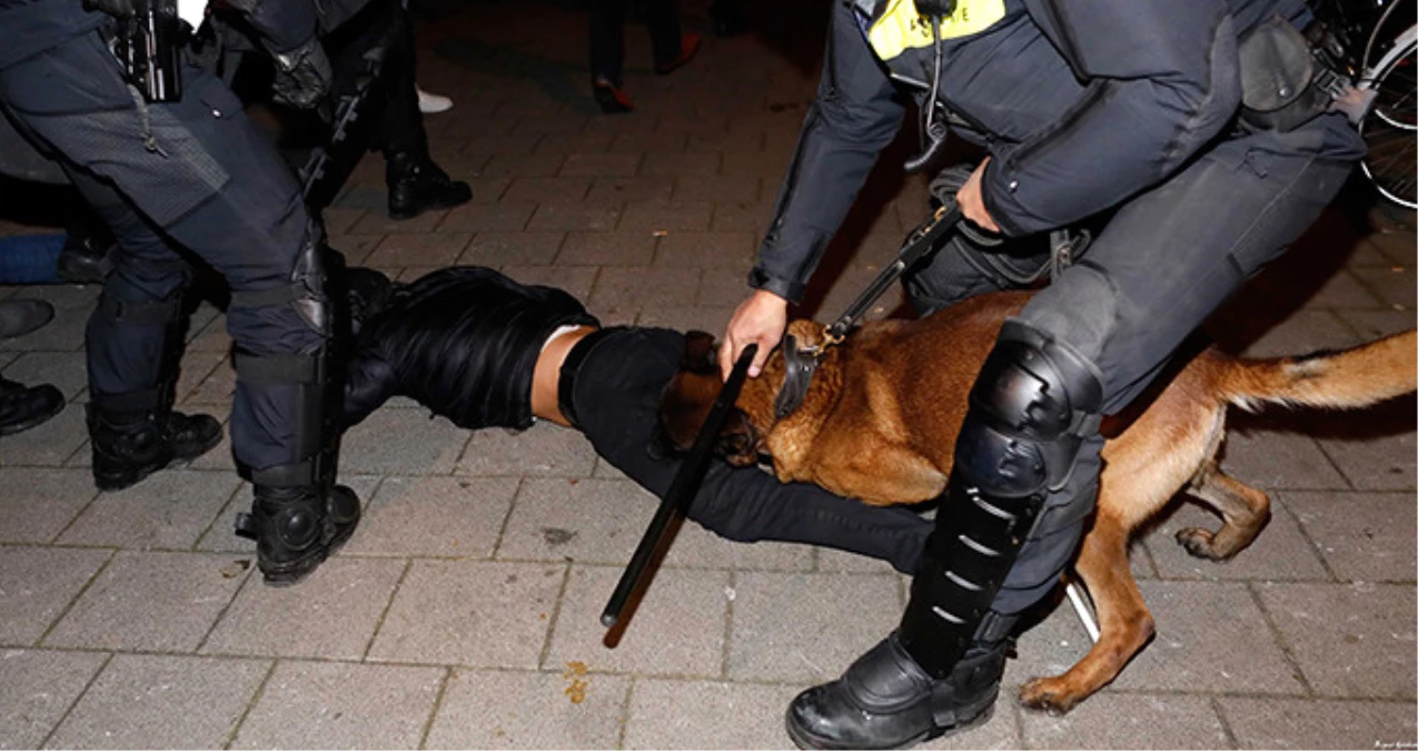 Hollanda\'da Polis Köpeğinin Isırdığı Hüseyin Kurt Türkiye\'de