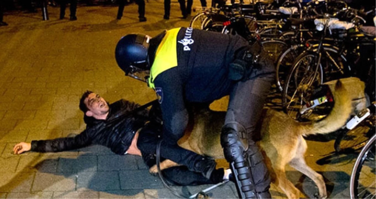 Hollanda Polisinin Köpeklerle Saldırdığı Hüseyin Kurt İstanbul\'a Getirildi