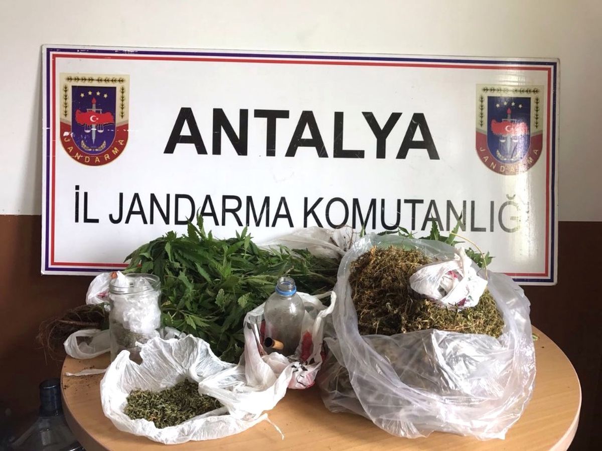 Jandarmadan Uyuşturucu Operasyonu