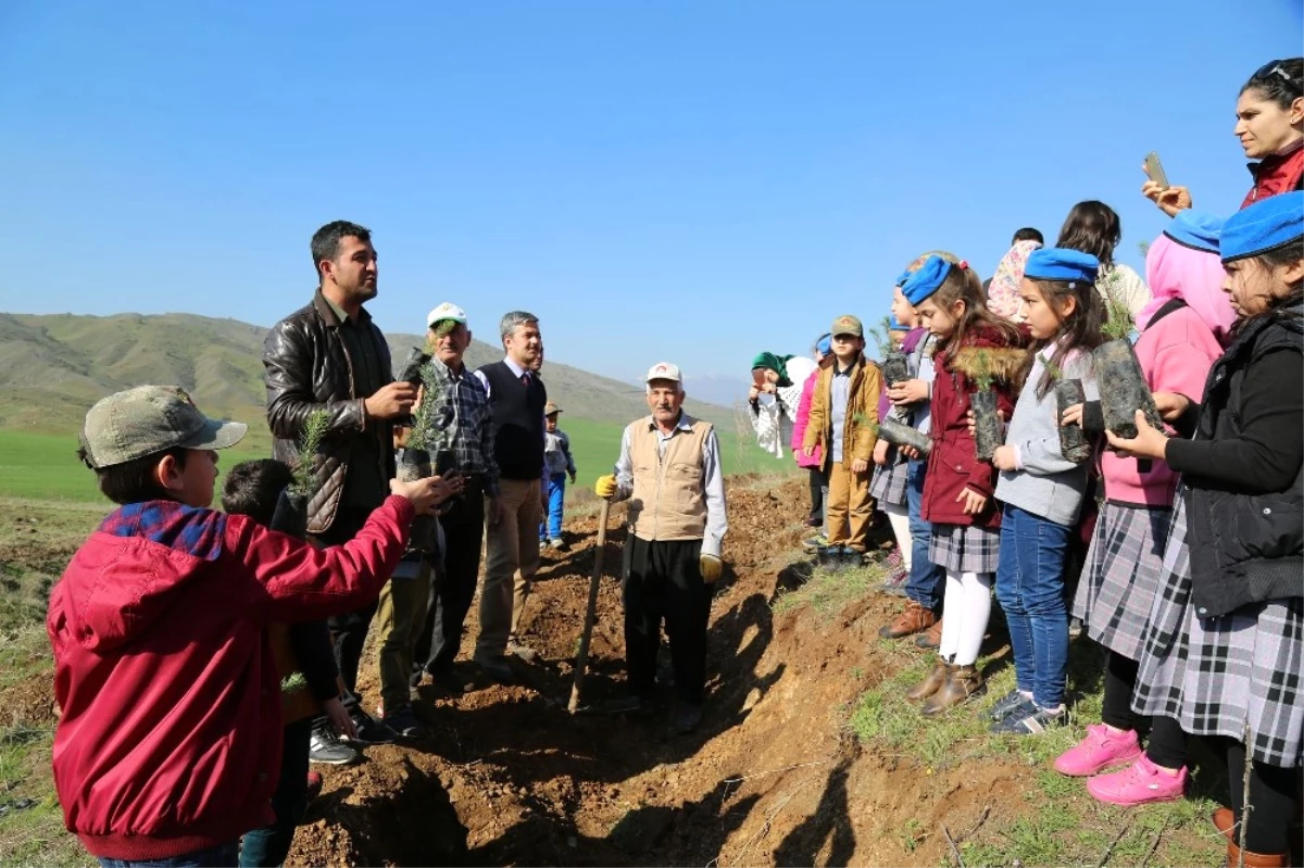 Kahramanmaraş\'ta 250 Bin Fidan Toprakla Buluşacak