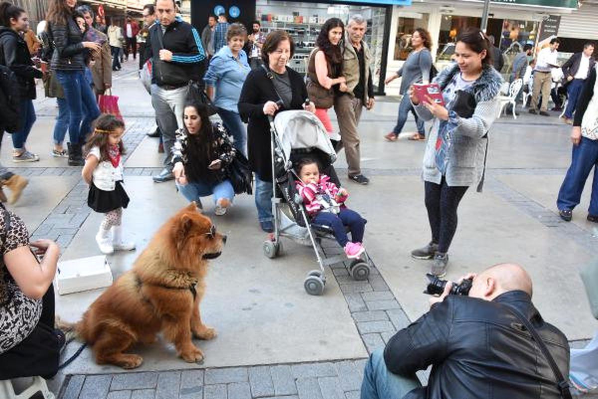 Karizmatik Köpek Max, Alsancak\'a Damgasını Vurdu