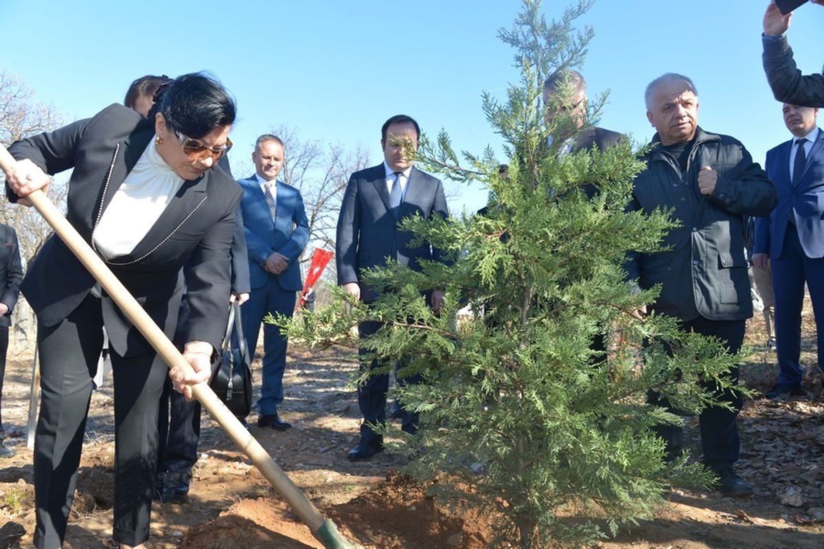 Krıklaereli\'de Polis Hatıra Ormanı\'na 250 Fidan Dikildi