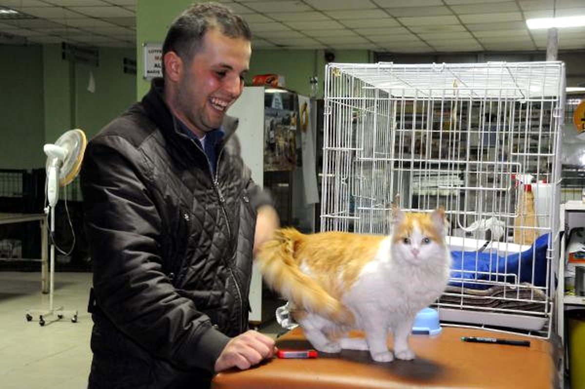 Mehmetçik\'in Kurtardığı "Barış"A Dünyanın Dört Bir Yanından Talep Var