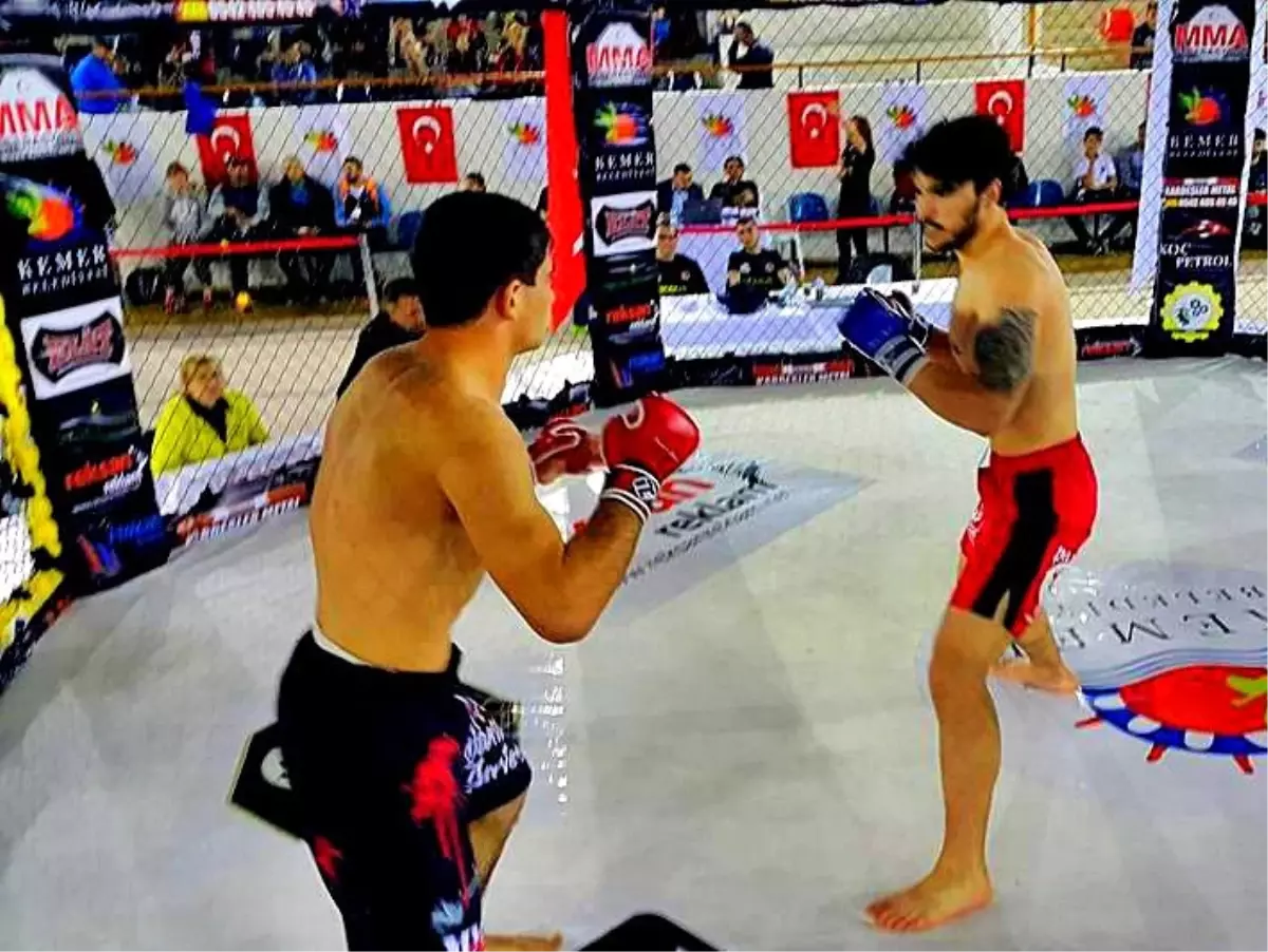 Mma Dünya Şampiyonası