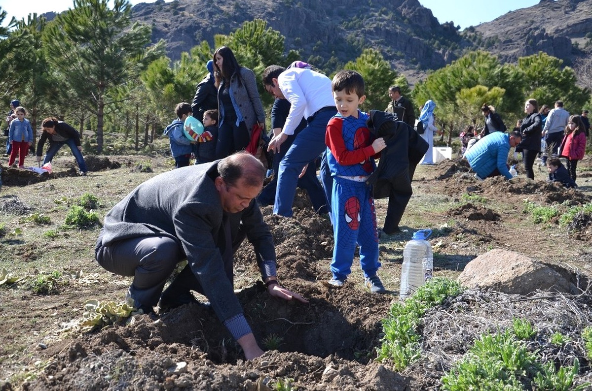 Osmancık\'ta Ana Okulu Öğrencileri Fidan Dikti