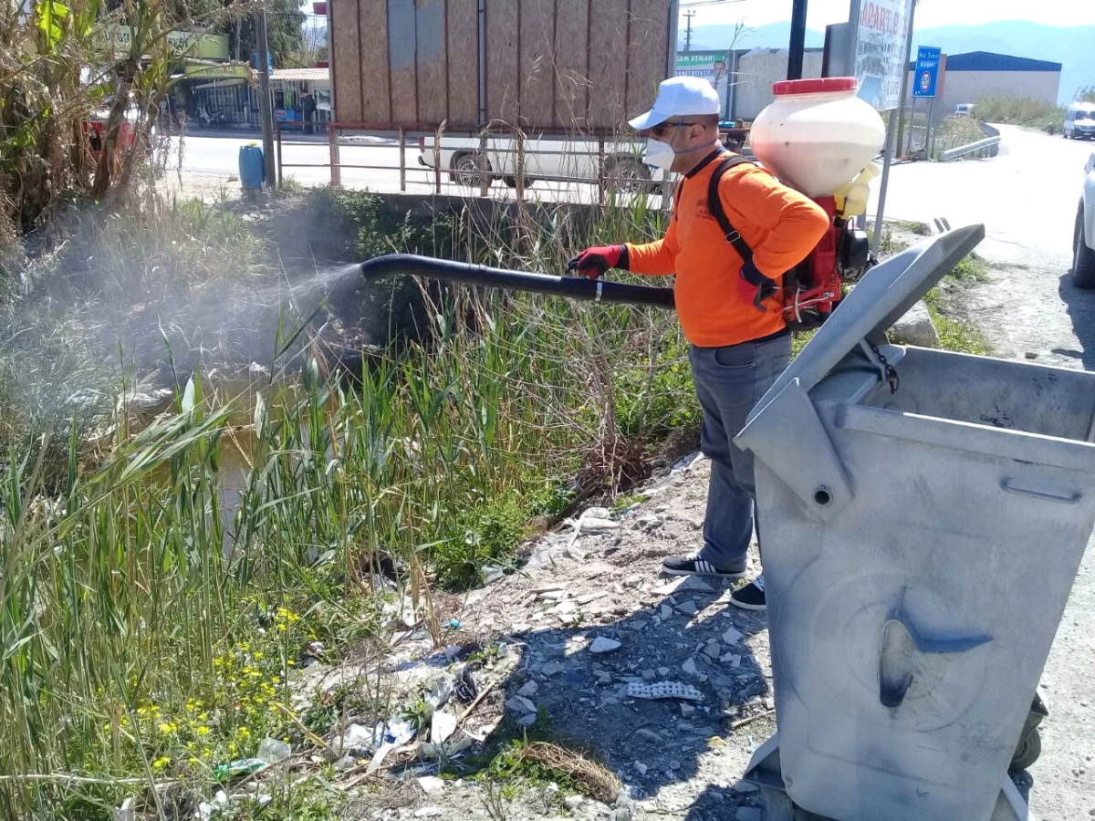 Samandağ Belediyesi larva ile mücadele çalışması başlatıldı