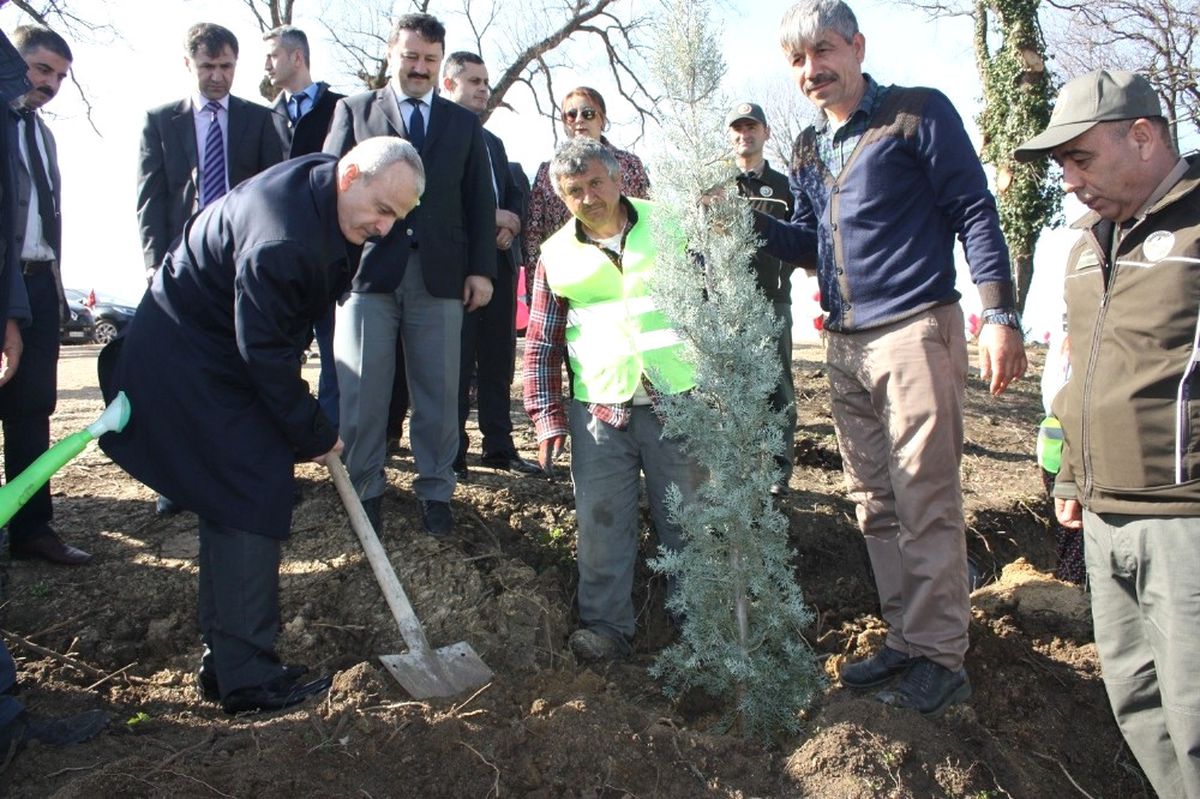 15 Temmuz Şehitleri İçin Hatıra Ormanı