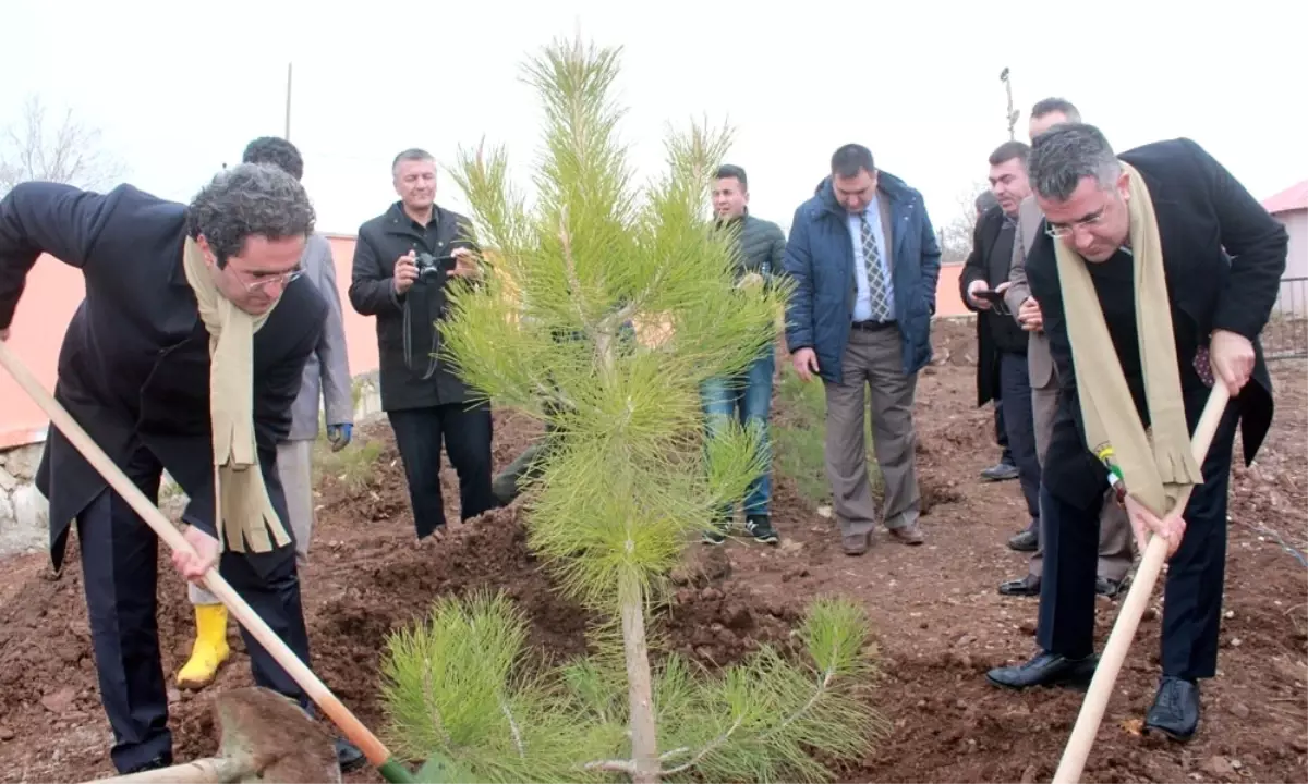 21 Mart Dünya Ormancılık Günü ve Orman Haftası