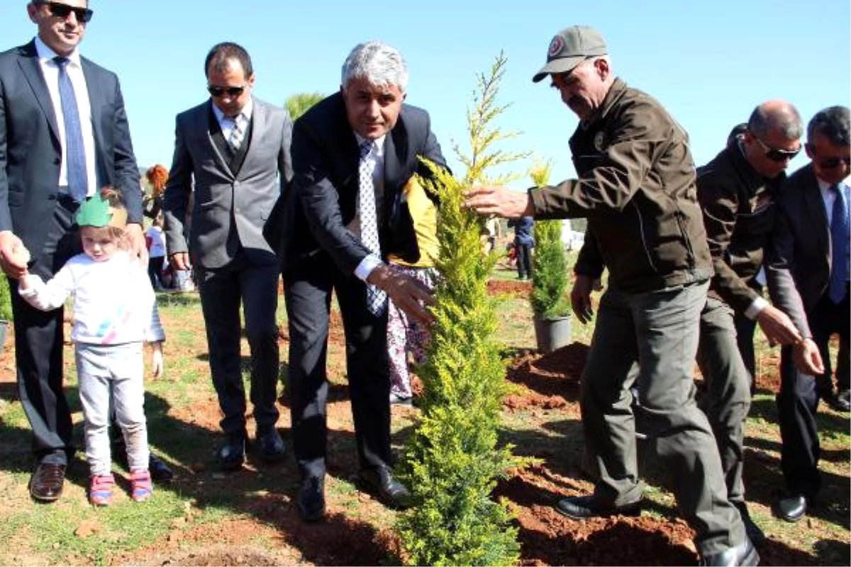 Fethiye\'de 15 Temmuz Şehitleri İçin Hatıra Ormanı